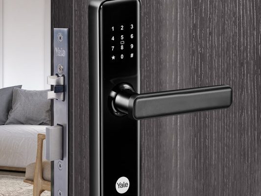 Biometric Efficiency: Exploring the Benefits of Fingerprint Door Locks