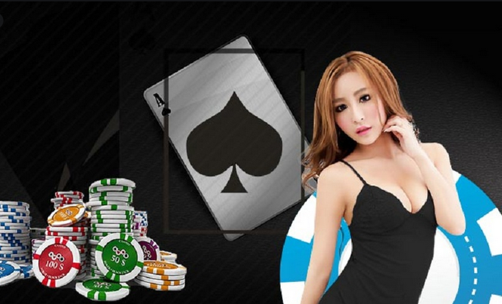 Pussy888 Casino's Jackpots: Where Dreams Flourish