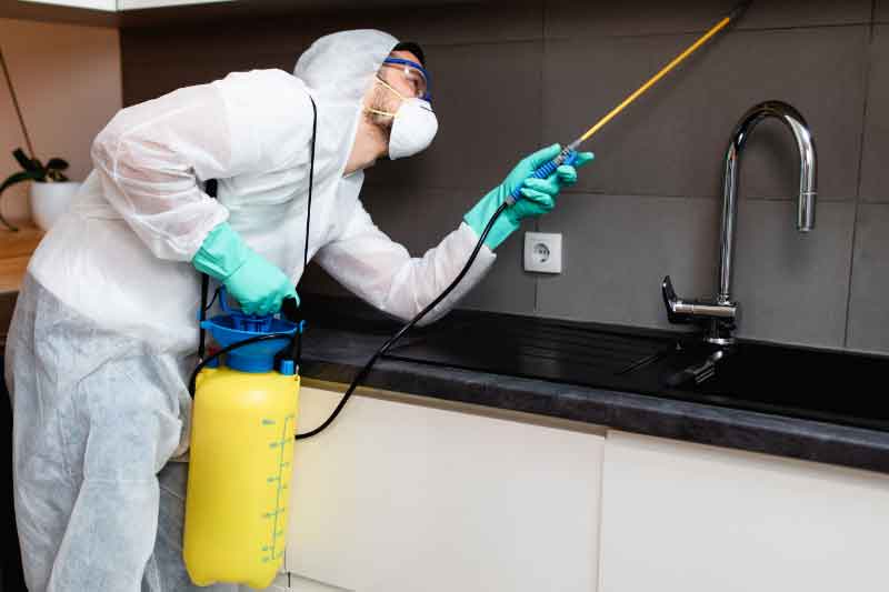 Pest Control Services: Protecting Your Home from Unwanted Guests