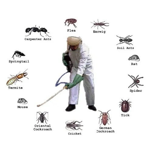 Safe Pest Control: A Holistic Approach