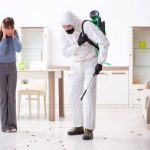 Pest Control Sydney: Keeping Your Office Pest-Free